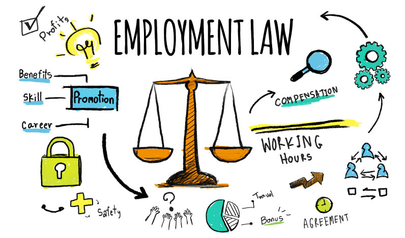 free online employment law advice for employees uk 